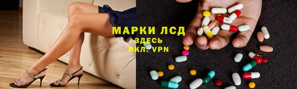 ГАЛЛЮЦИНОГЕННЫЕ ГРИБЫ Аркадак