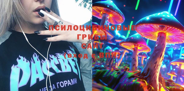 ГАЛЛЮЦИНОГЕННЫЕ ГРИБЫ Аркадак