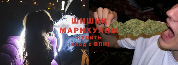 ГАЛЛЮЦИНОГЕННЫЕ ГРИБЫ Аркадак