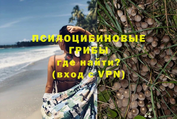 apvp Армянск