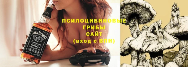 гидропоника Арсеньев