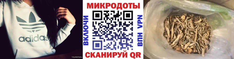Купить  Облучье  Псилоцибиновые грибы Cubensis 
